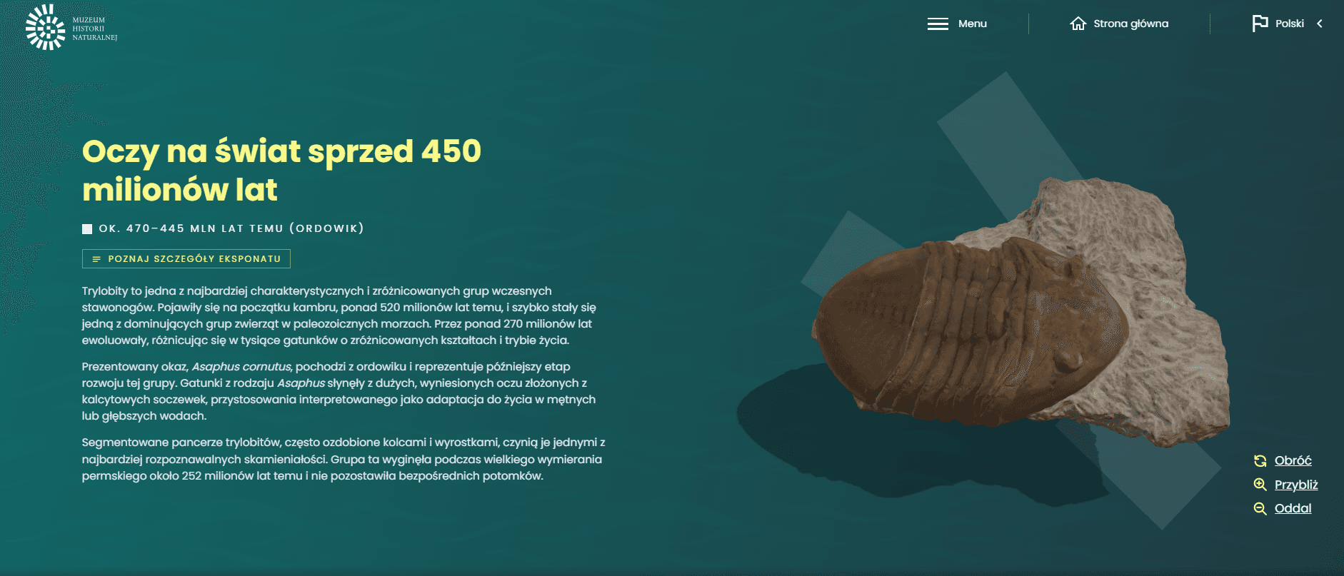 MHN exhibit page with a trilobite model, Polish natural history text, and rotation and zoom controls